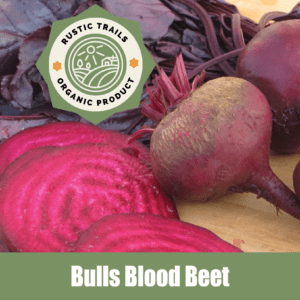 Bulls Blood Beet